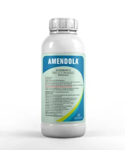 AMENDOLA®