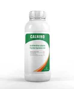 CALNINO
