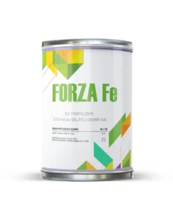 FORZA Fe