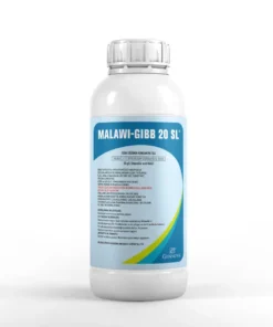 MALAWI-GIBB 20 SL®