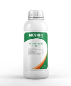 MESHIR